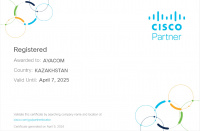 Cisco - Partner 2024