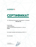 Kaspersky - партнер 2020